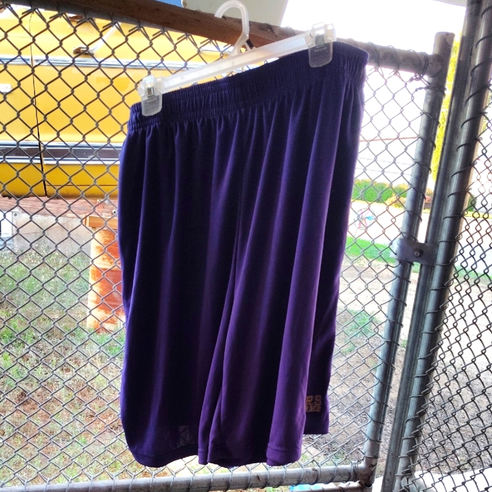 Adult Purple Shorts Size XL Rogers Pirates